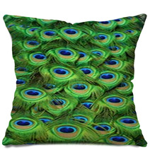 Peacock Tailfeathers Pillows 58428752