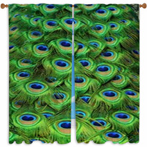 Peacock Tailfeathers Window Curtains 58428752