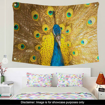 Peacock Wall Art 51925727