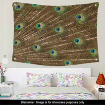 Peacock Wall Art 65937884