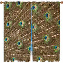 Peacock Window Curtains 65937884