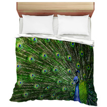 Peacock With Beautiful Multicolored Feathers Bedding 42264817