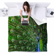 Peacock With Beautiful Multicolored Feathers Blankets 42264817