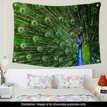 Peacock With Beautiful Multicolored Feathers Wall Art 42264817