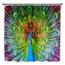 Peacock With Feathers Spread Bath Decor 65805888