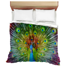 Peacock With Feathers Spread Bedding 65805888
