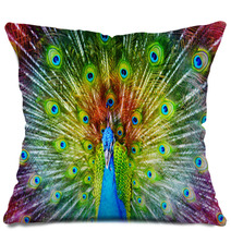 Peacock With Feathers Spread Pillows 65805888