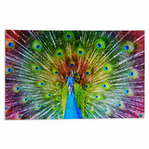 Peacock With Feathers Spread Rugs 65805888