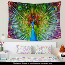 Peacock With Feathers Spread Wall Art 65805888