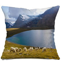 Pecore Al Pascolo Con Lago Pillows 63644322