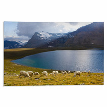 Pecore Al Pascolo Con Lago Rugs 63644322