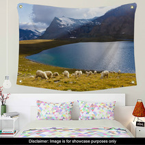 Pecore Al Pascolo Con Lago Wall Art 63644322