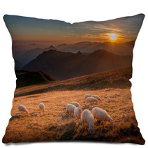 Pecore Pillows 98993668