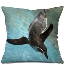 Penguin Swimming Pillows 72480571