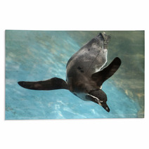 Penguin Swimming Rugs 72480571