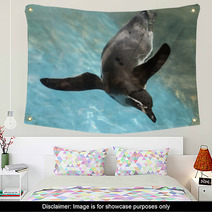 Penguin Swimming Wall Art 72480571