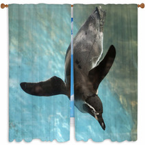 Penguin Swimming Window Curtains 72480571