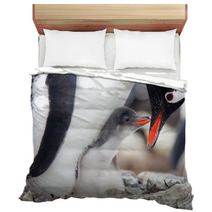 Penguins Nest Bedding 35385311