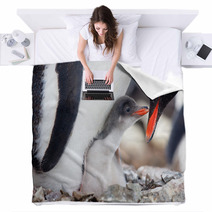 Penguins Nest Blankets 35385311