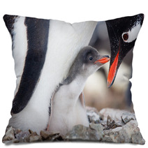 Penguins Nest Pillows 35385311