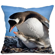Penguins Nest Pillows 36506934