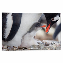 Penguins Nest Rugs 35385311