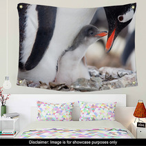 Penguins Nest Wall Art 35385311