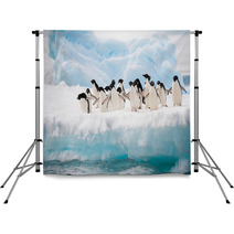 Penguins On The Snow Backdrops 46557859