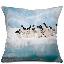 Penguins On The Snow Pillows 46557859