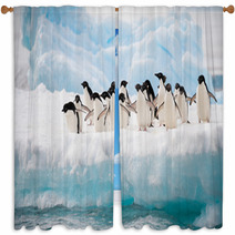 Penguins On The Snow Window Curtains 46557859