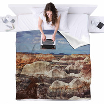 Petrified Forest Blankets 60869660