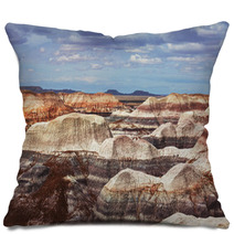 Petrified Forest Pillows 60869660