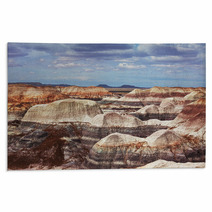 Petrified Forest Rugs 60869660