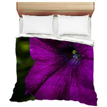 Petunia Flower Bedding 66012531