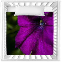 Petunia Flower Nursery Decor 66012531