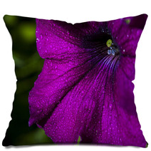 Petunia Flower Pillows 66012531