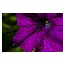 Petunia Flower Rugs 66012531