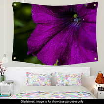 Petunia Flower Wall Art 66012531