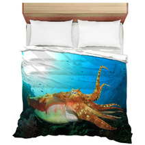 Pharaoh Cuttlefish Bedding 78486490