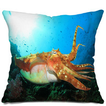 Pharaoh Cuttlefish Pillows 78486490