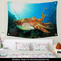 Pharaoh Cuttlefish Wall Art 78486490