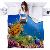 Photo Of A Coral Colony And Turtle Blankets 31551598