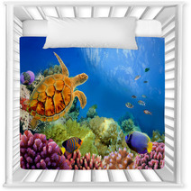 Photo Of A Coral Colony And Turtle Nursery Decor 31551598