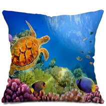 Photo Of A Coral Colony And Turtle Pillows 31551598