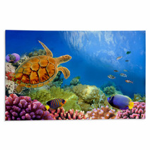 Photo Of A Coral Colony And Turtle Rugs 31551598