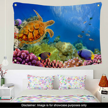 Photo Of A Coral Colony And Turtle Wall Art 31551598