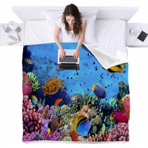 Photo Of A Coral Colony On A Reef, Egypt Blankets 35544351