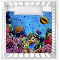 Photo Of A Coral Colony On A Reef, Egypt Nursery Decor 35544351