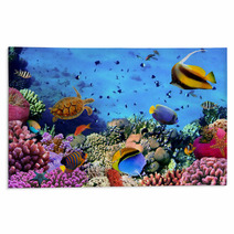 Photo Of A Coral Colony On A Reef, Egypt Rugs 35544351