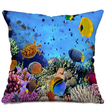 Photo Of A Coral Colony Pillows 43819818